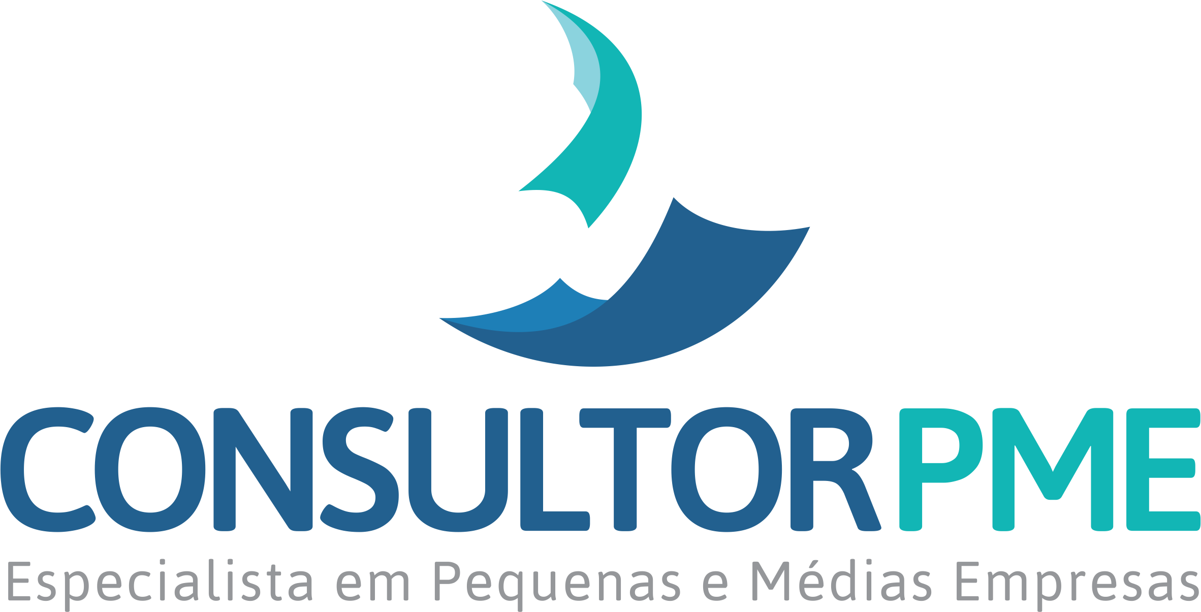 Consultor PME – Especialista em Pequenas e Médias Empresas
